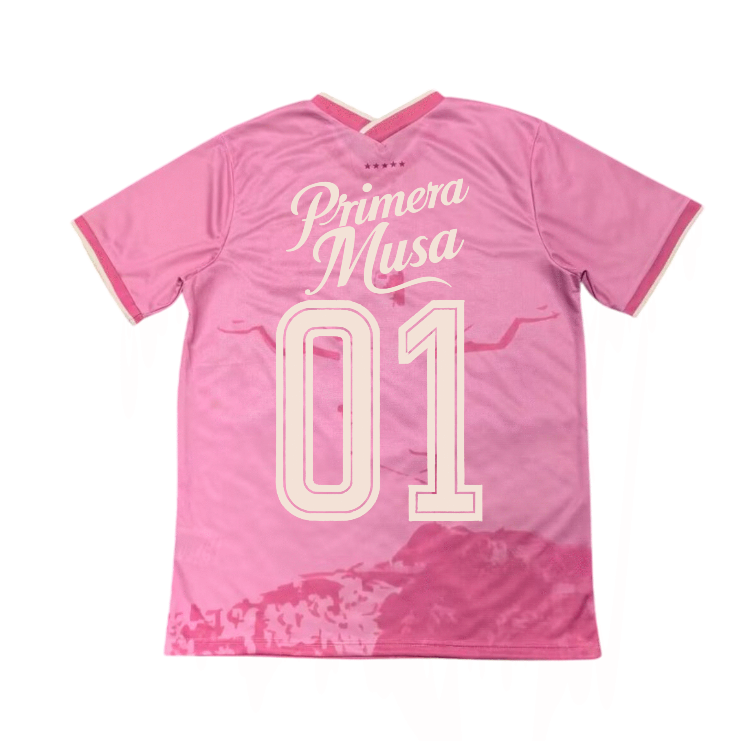 Omar Courtz x Brasile in rosa